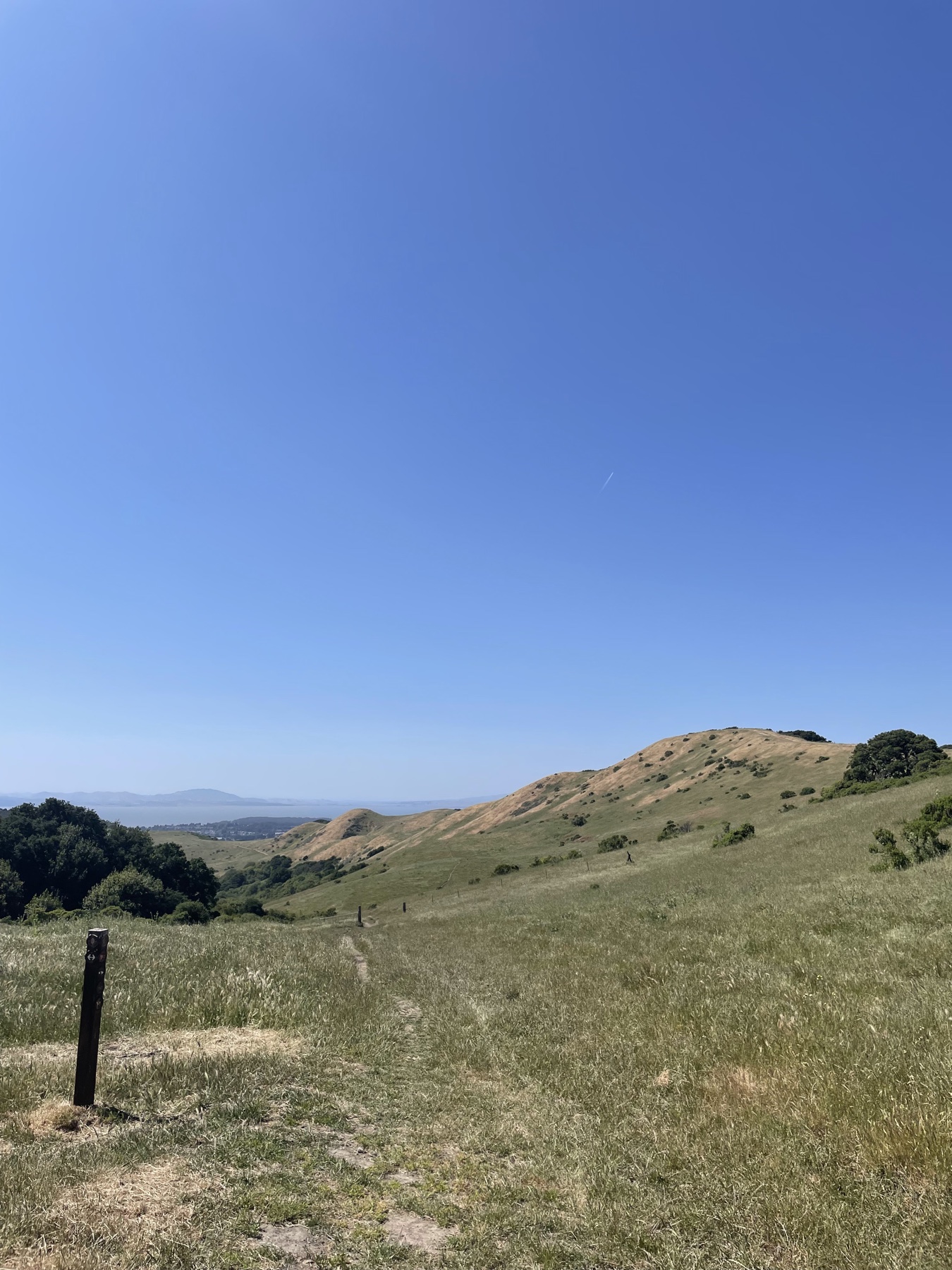 A trail crossing open hills with grassland and scattered shrubs