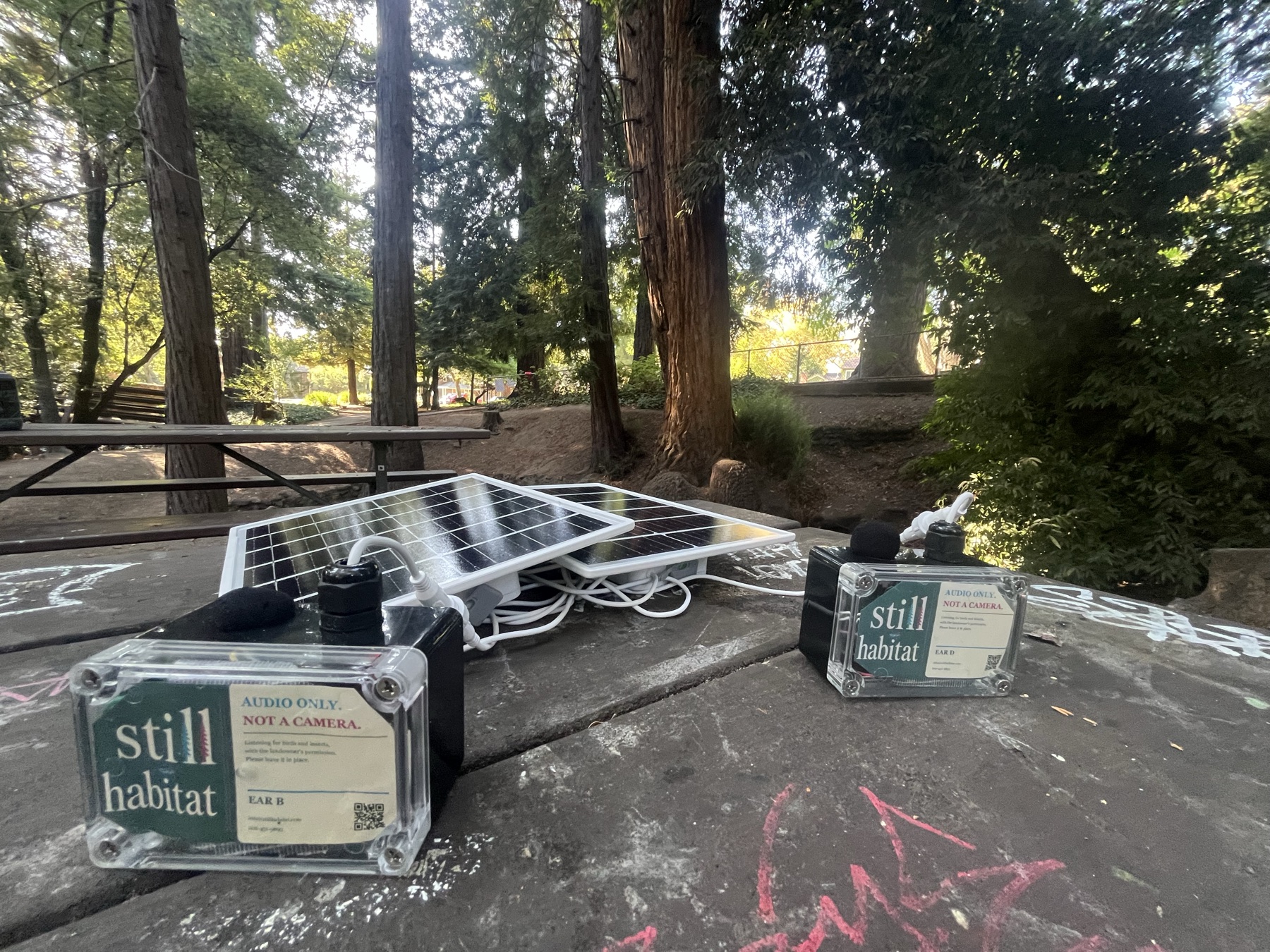 Catbird Ears and solar panels spread across a picnic table during a field setup